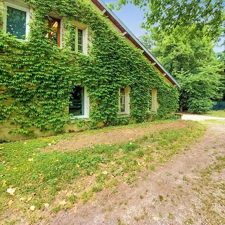 Pet Friendly In 別荘 Boult-aux-Bois